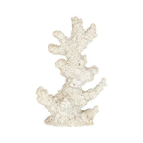 Sand Coral - Extra Large