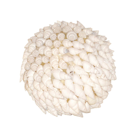 Hermit Shell Decorative Sphere In White