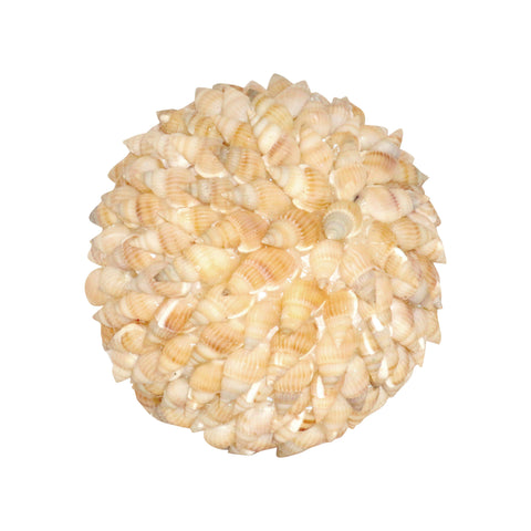 Hermit Shell Decorative Sphere In Tan