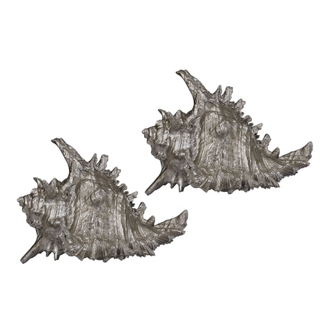 Silver Leaf Whelk Shells - Set of 2