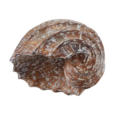 Decorative Wooden Helix Shell