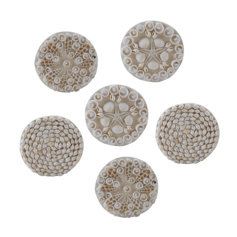 Shell Coasters - Set of 6