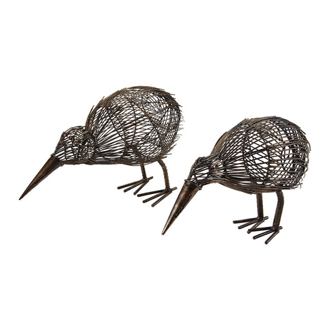 Decorative Kiwi - Set of 2