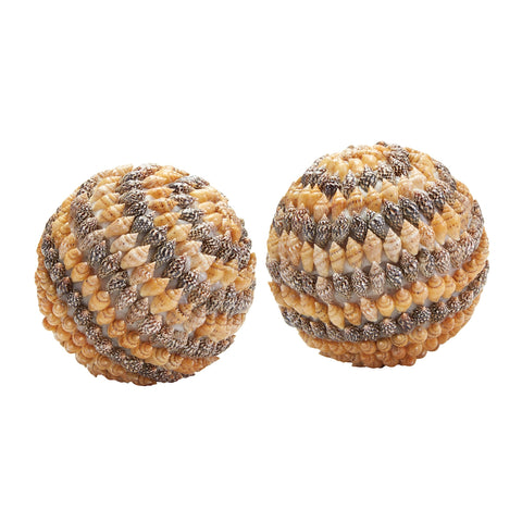 Brown Shell Ball