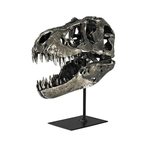 Cretaceous T-Rex Skull