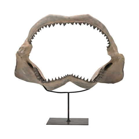 Cretaceous Shark Jaw