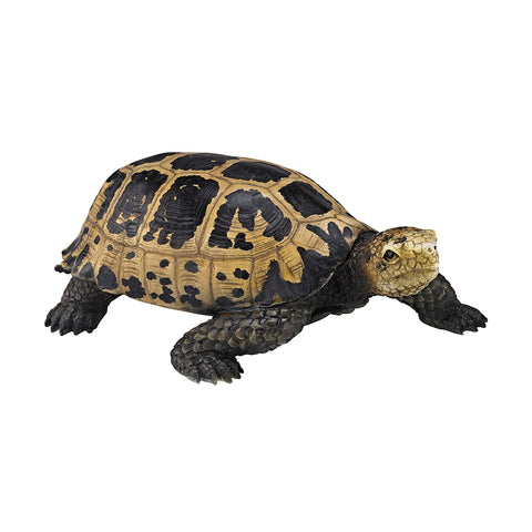 San Cristobal Decorative Turtle