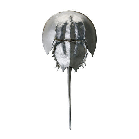 Silver Mica Horseshoe Crab