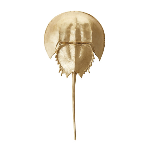 Gold Mica Horseshoe Crab