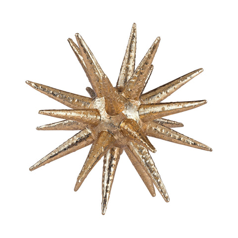 Spiny Urchin