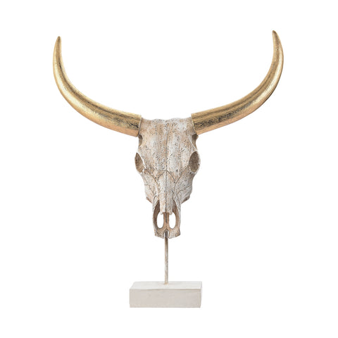 Small Buffalo Skull