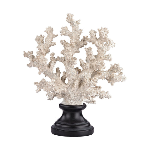 Aged White Coral on Stand - Short