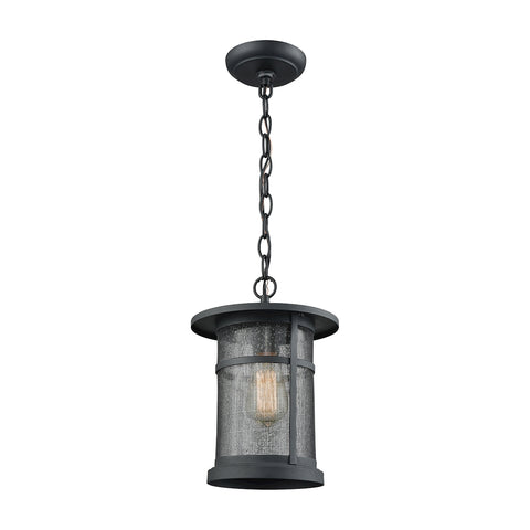 Aspen Lodge 1 Light Outdoor Pendant In Textured Matte Black