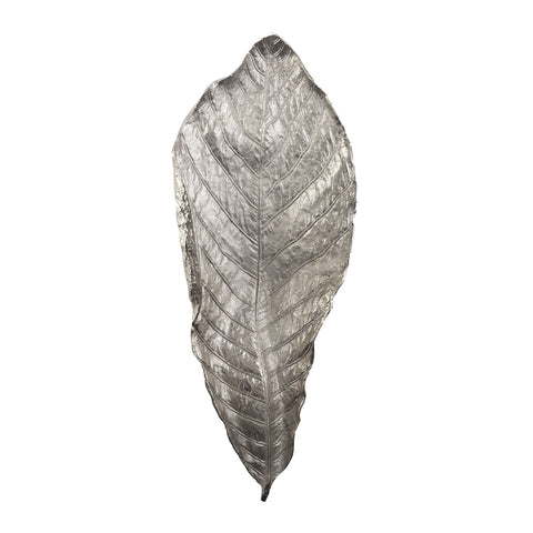 Colossal Silver Leaf