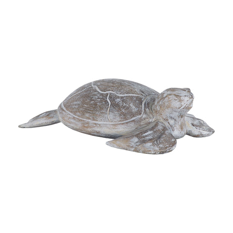 Galapagos Turtle White Washed Albasia Wood