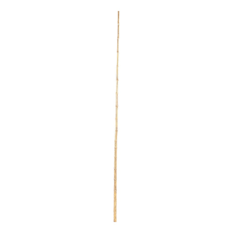 Gold Bamboo Pole