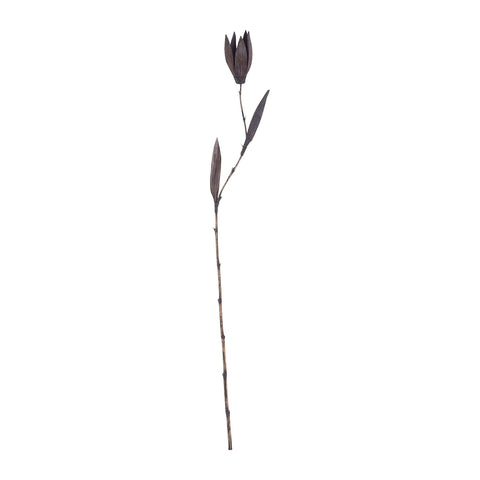 Black Palm Seed Pole