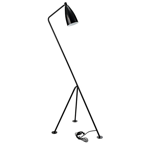 Askance Floor Lamp