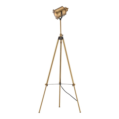 Ethan Floor Lamp in Aged Brass